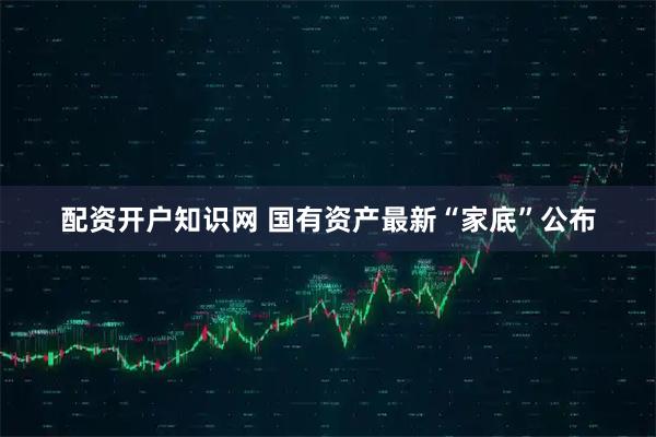 配资开户知识网 国有资产最新“家底”公布
