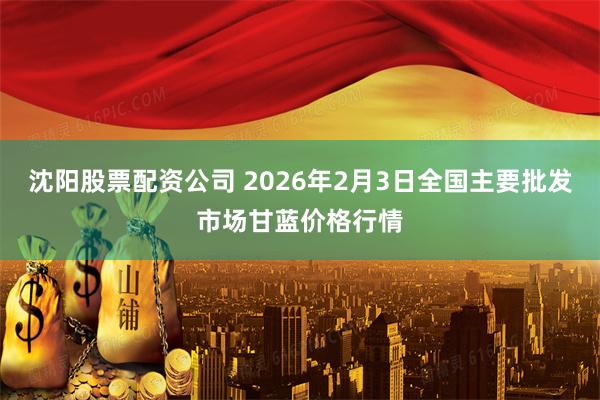 沈阳股票配资公司 2026年2月3日全国主要批发市场甘蓝价格行情